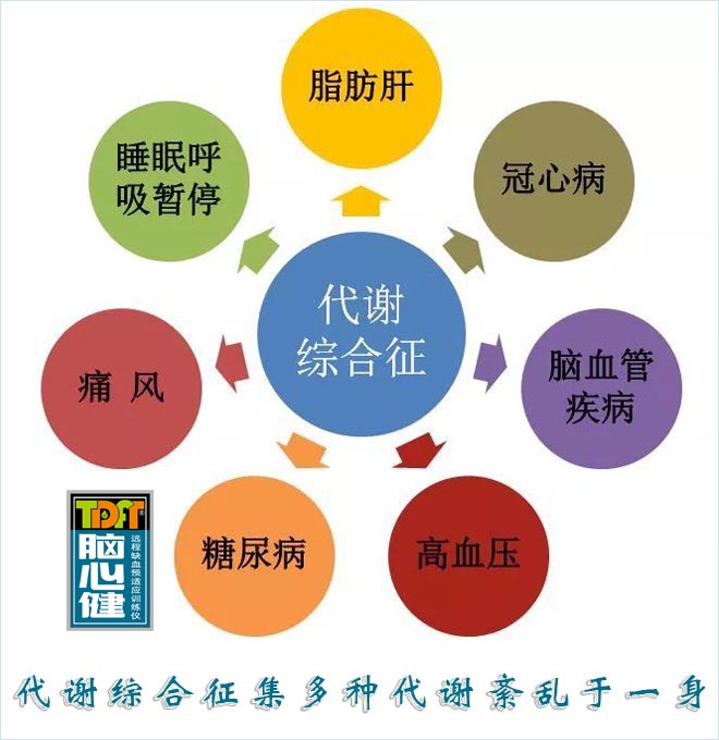 驾驶员是代谢综合征高发人群,脑心健纯物理方法有效预防-华盈泰医疗